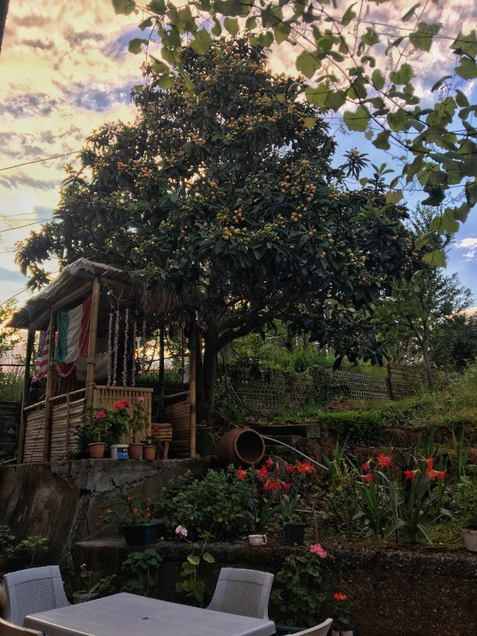 Дом для отпуска Ana House Махинджаури Экстерьер фото