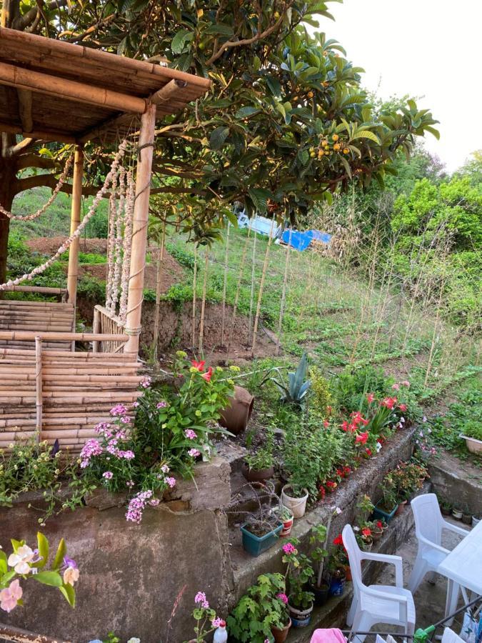 Дом для отпуска Ana House Махинджаури Экстерьер фото
